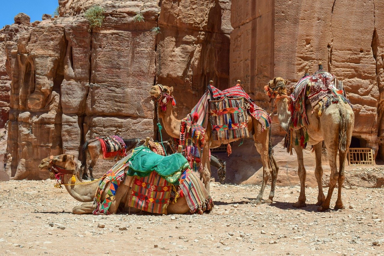 Unforgettable Egypt & Jordan Discovery Journey – 7 Days - allroyalegypt
