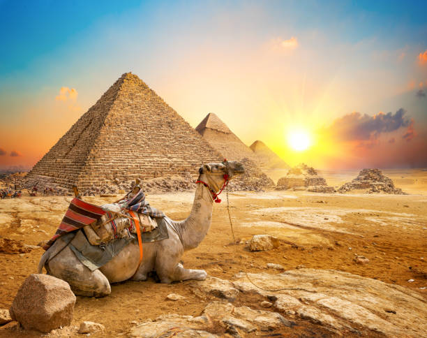 Unforgettable Egypt to Saudi Arabia Grand Journey Nile Cruise, Cairo, Riyadh & AlUla – 13 Days - allroyalegypt